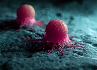 Never Known Before Details of Cancer-Related Proteins Mapped By Researchers Cancer Related Proteins Mapped