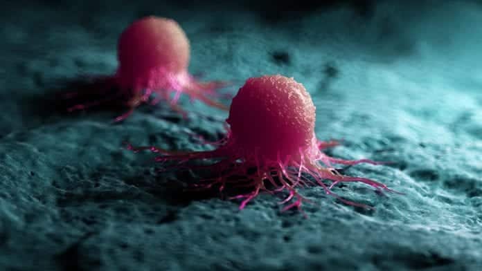 Cancer Related Proteins Mapped