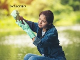 DBT ‘Forest Biotechnology’