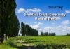 Scientists Create Genetically Modified Trees To Fight Climate Change Genetically Modified Trees