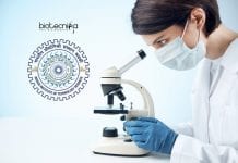 Summer Internship With Stipend at IIT Roorkee – SPARK 2020 IIT Roorkee SPARK 2020