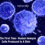 Immune Cells Produced In Dish