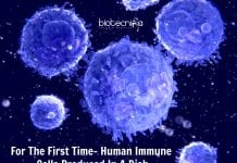 Immune Cells Produced In Dish