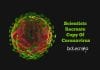 Lab Grown Coronavirus By Australian Scientists Could Help in Diagnosis Lab Grown Coronavirus
