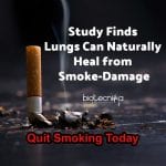 Lungs Can Heal From Smoking Damage