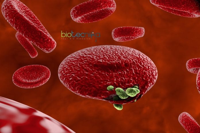 Malaria parasite traffics map