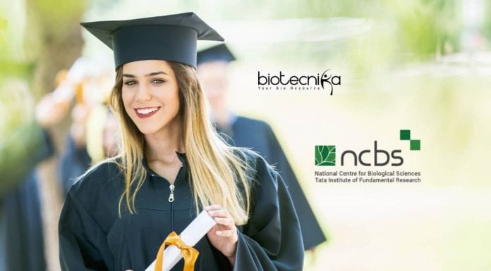 NCBS Campus Fellow
