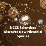 NCCS scientists Discover New Species: Natrialba swarupiae