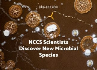 NCCS scientists Discover New Species: Natrialba swarupiae