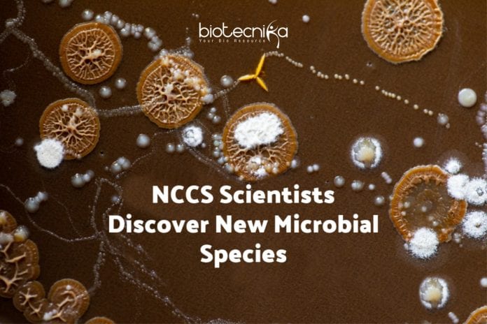 NCCS scientists Discover New Species: Natrialba swarupiae