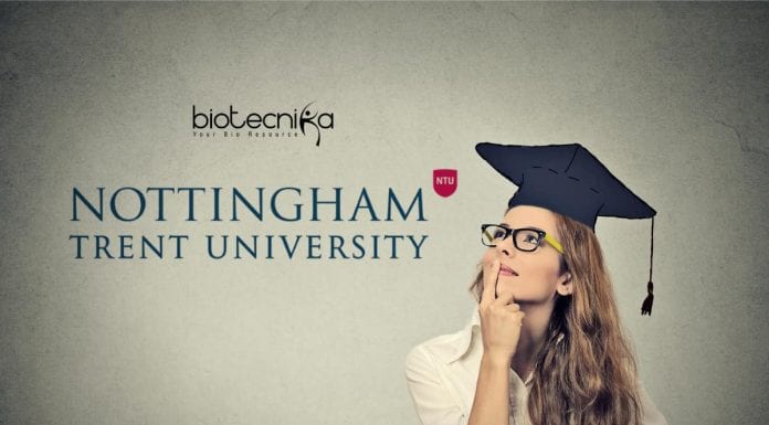 NTU PhD Studentships
