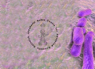 JNCASR Scientists Find New molecule Against MDR Acinetobacter baumannii New-Compound-Against-Acinetobacter-baumannii