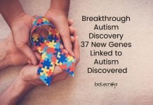 Breakthrough Autism Discovery – 37 New ‘Autism Genes’ Discovered Breakthrough Autism Discovery