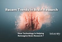 Recent Trends In Brain Research – Decoding Mysteries of Human Brain New Technologies in Brain Research