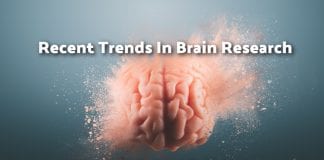 New Technologies in Brain Research