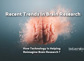 New Technologies in Brain Research