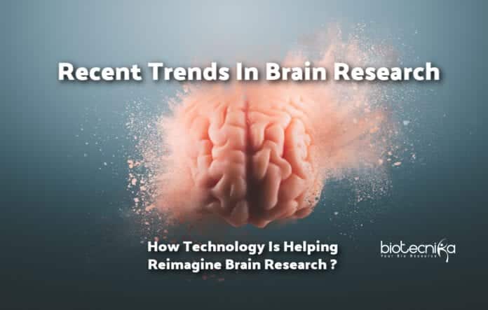 New Technologies in Brain Research