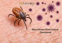 Hundreds of Novel Insect Viruses Discovered New Viruses From Insects
