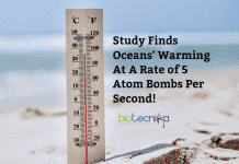 Ocean warming rate in 2019