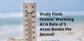 Ocean warming rate in 2019