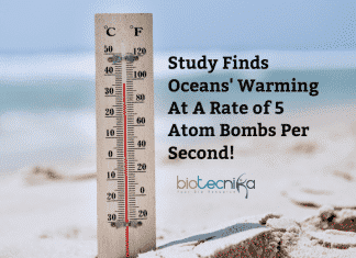 Warning! Oceans Are Warming At Rate of 5 Atom Bombs Per Second Ocean warming rate in 2019