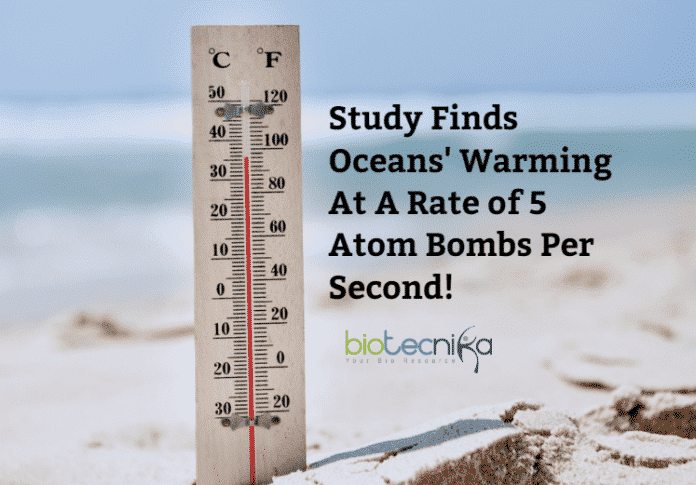 Ocean warming rate in 2019