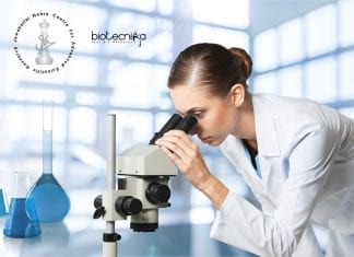 Project Oriented Biology Education