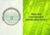 SRM-DBT Algae and Cyanobacteria Identification Service SRM DBT Algae