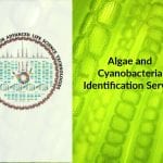 SRM-DBT Algae and Cyanobacteria Identification Service SRM DBT Algae