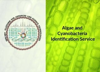 SRM-DBT Algae and Cyanobacteria Identification Service SRM DBT Algae