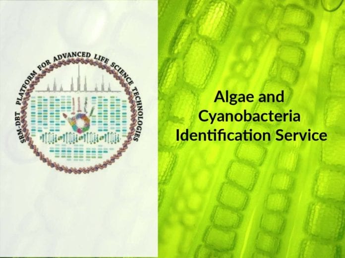 SRM DBT Algae