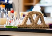 New Living Concrete Created by Scientists Using Cyanobacteria New Living Concrete using cyanobacteria