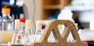 New Living Concrete using cyanobacteria