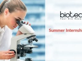 Summer Internship Programme