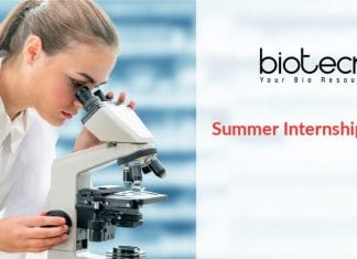 Summer Internship Programme
