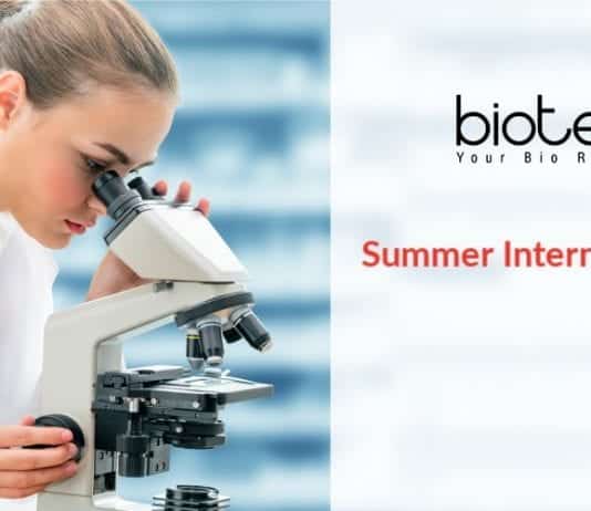 Summer Internship Programme