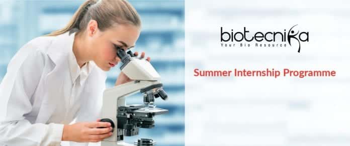 Summer Internship Programme