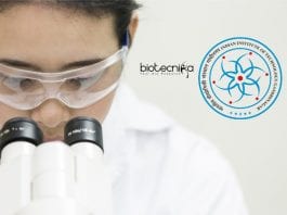 Summer Research Internship 2020