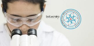 Summer Research Internship 2020