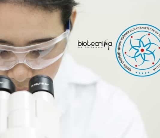 Summer Research Internship 2020