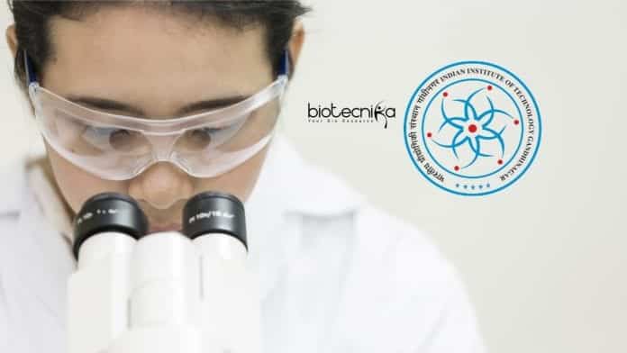 Summer Research Internship 2020
