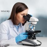 Summer Research Programme 2020