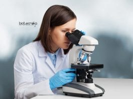 Summer Research Programme 2020