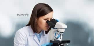 Summer Research Programme 2020