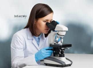 Summer Research Programme 2020