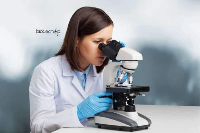 Summer Research Programme 2020