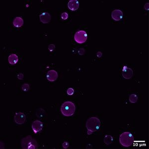 Artificial cells reacting to changes