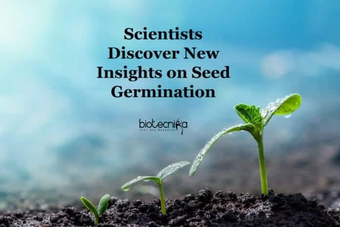Thiol Redox Switches in Germination