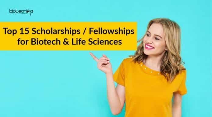Top 15 Scholarships
