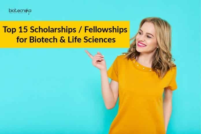 Top 15 Scholarships